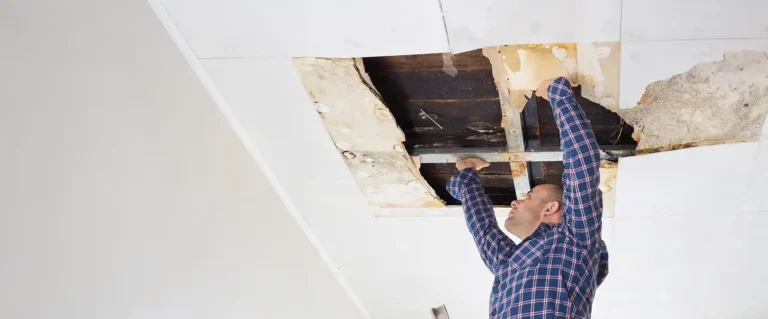 Wood Damage Repair in San Diego, CA