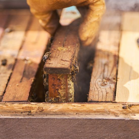 San Diego Rotted Wood Repair