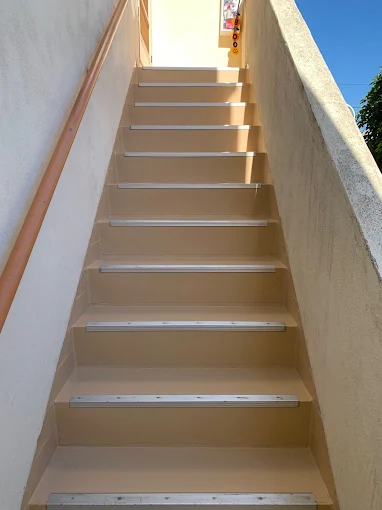 termite damage repair