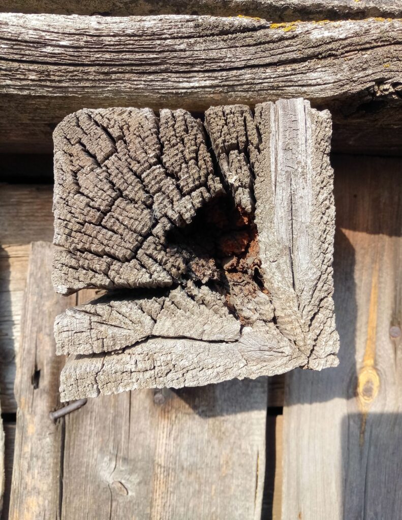 El Cajon Termite Damage Repair