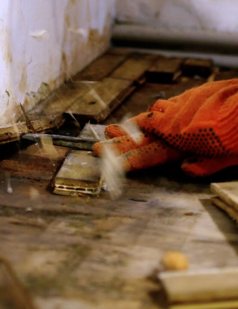 Termite Damage Repair in El Cajon