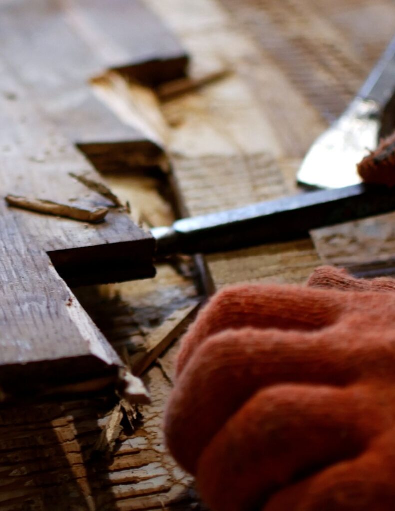 La Jolla Termite Damage Repair