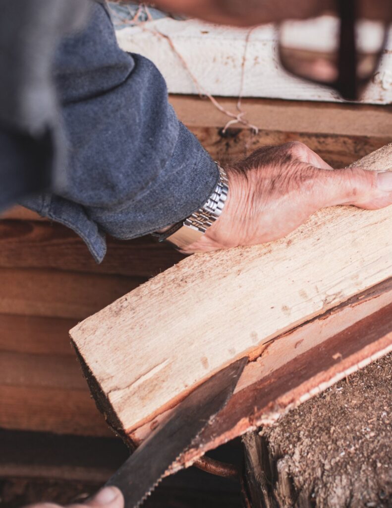 Termite Damage Repair in La Jolla